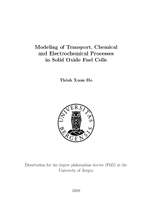 Modeling of transport, chemical and electrochemical processes in solid oxide fuel cells